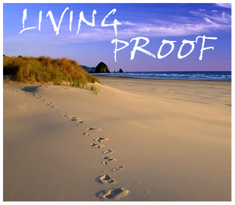 2012-2013 Theme: Living Proof