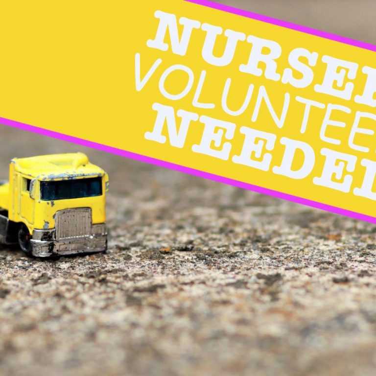 A call for volunteers for the church nursery. This is to foster the joy of community and caring for one another.