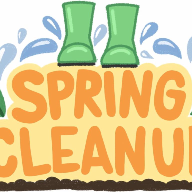 spring cleanup pics